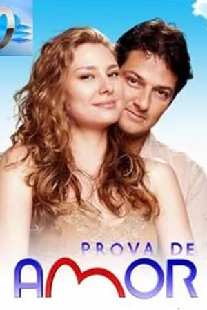Постер к сериалу Доказательство любви (2005)