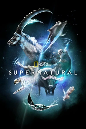 Постер к сериалу Сверх/Естественное (2022)