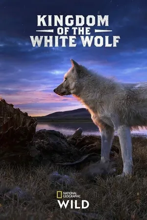 Постер к сериалу Королевство белого волка (2019)