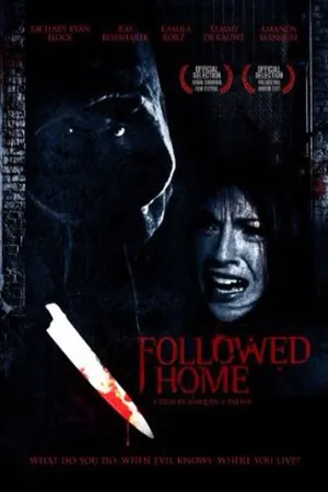 Постер к фильму Followed Home (2010)