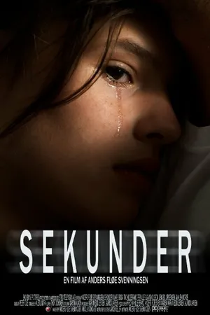 Постер к фильму Sekunder (2009)