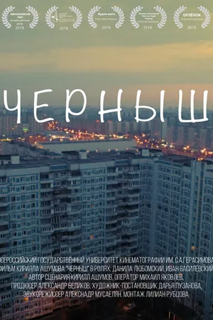 Постер к фильму Черныш (2017)