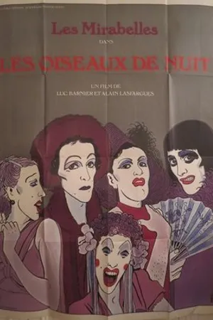 Постер к фильму Les oiseaux de nuit (1978)