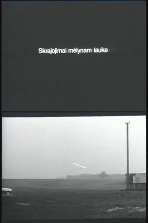 Постер к фильму Полет над синими полями (2001)