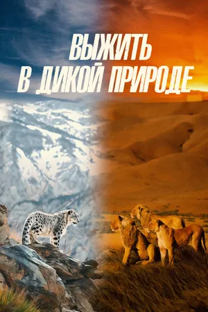 Постер к сериалу Выжить в дикой природе (2016)