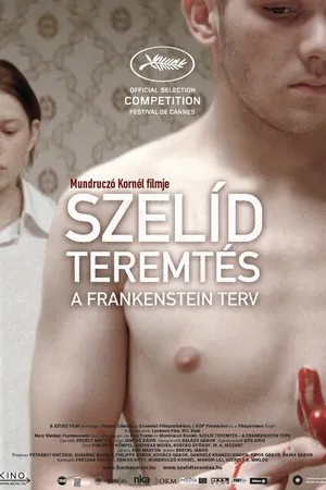 Постер к фильму Любящий сын Франкенштейн (2010)