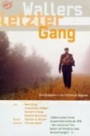 Постер к фильму Последний обход Валлера (1989)