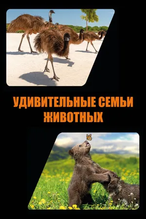 Постер к сериалу Удивительные семьи животных (2019 - 2020)