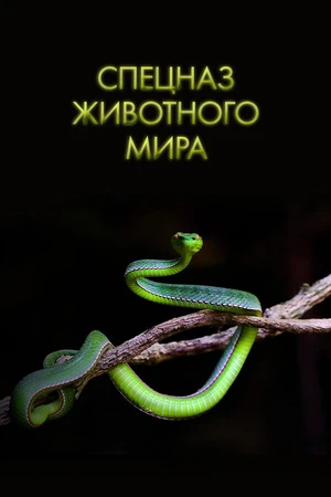 Постер к сериалу Спецназ животного мира (2018)