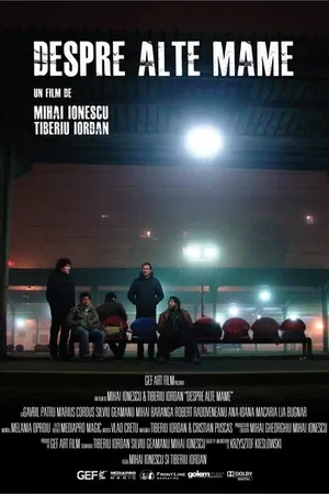 Постер к фильму Разные матери (2010)