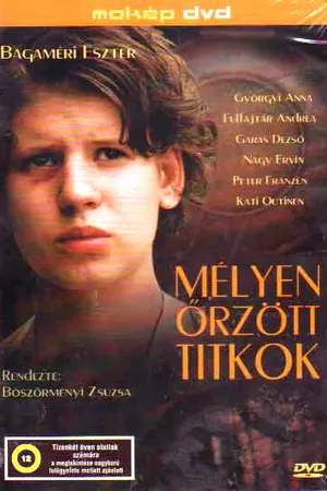 Постер к фильму Тщательно оберегаемые секреты (2004)