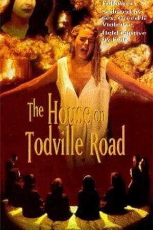 Постер к фильму Дом на Тодвилл-роуд (1994)