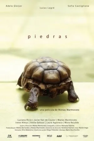 Постер к фильму Камни (2010)