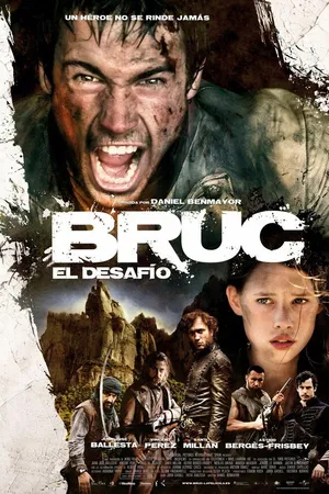 Постер к фильму Брук. Вызов (2010)