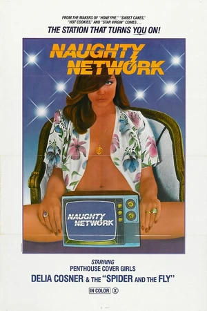 Постер к фильму Naughty Network (1981)