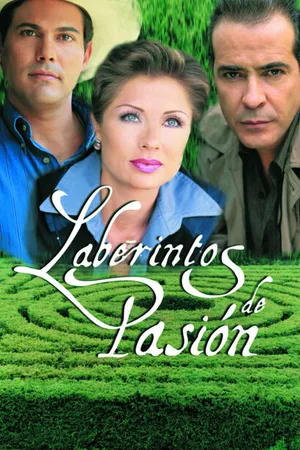 Постер к сериалу Лабиринты страсти (1999 - 2000)