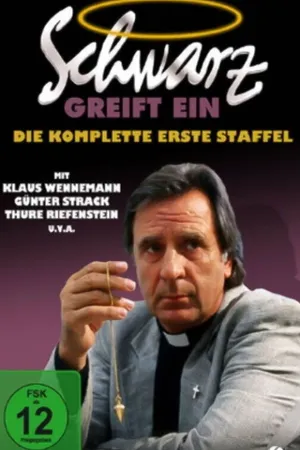 Постер к сериалу Schwarz greift ein (1994 - 1999)