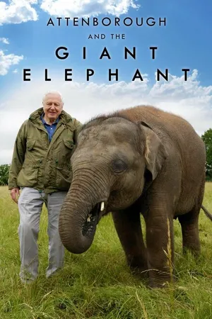 Постер к фильму Аттенборо и гигантский слон (2017)