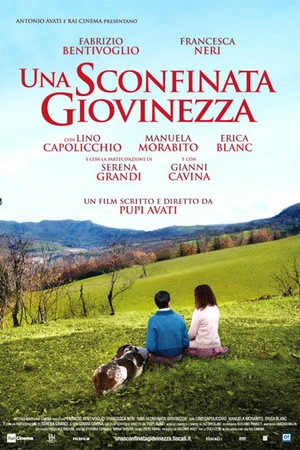 Постер к фильму Безграничная юность (2010)