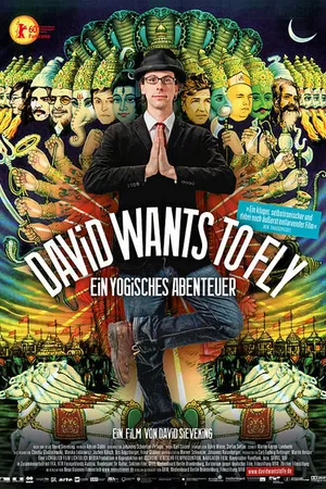 Постер к фильму Дэвид хочет летать (2010)