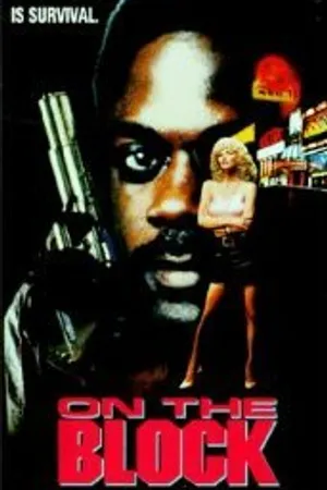 Постер к фильму В квартале развлечений (1990)