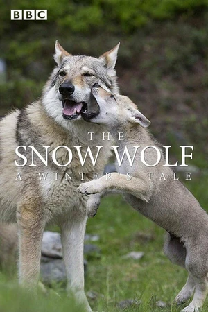 Постер к фильму The Snow Wolf: A Winter's Tale (2018)