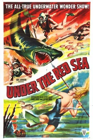 Постер к фильму Под Красным морем (1951)