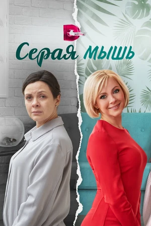 Постер к сериалу Серая мышь (2023)