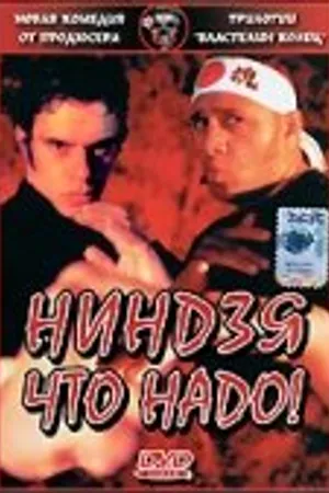 Постер к фильму Ниндзя что надо! (2002)