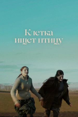 Постер к фильму Клетка ищет птицу (2023)