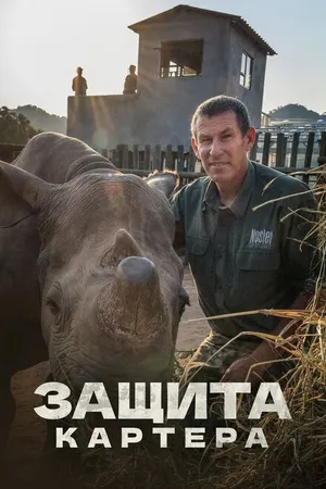 Постер к сериалу Защита Картера (2015 - 2017)