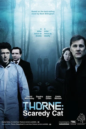 Постер к фильму Торн: Пуганая ворона (2010)