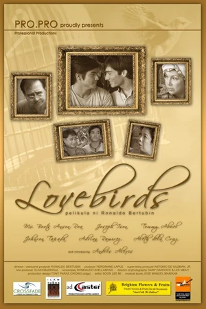 Постер к фильму Влюблённые пташки (2008)