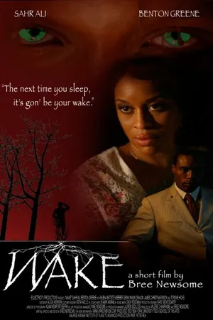 Постер к фильму Wake (2010)