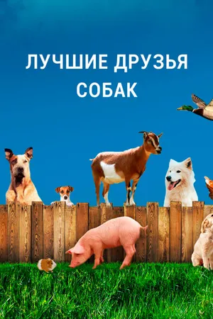 Постер к сериалу Лучшие друзья собак (2014)