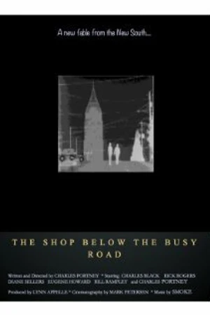 Постер к фильму The Shop Below the Busy Road (1997)