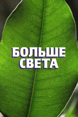 Постер к фильму Больше света (2023)