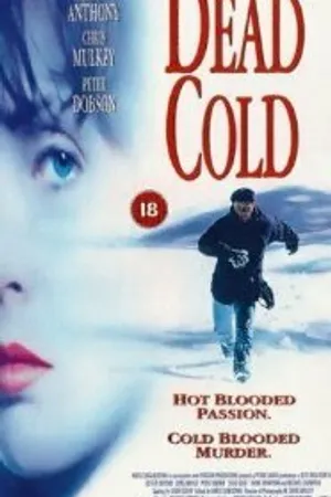 Постер к фильму Смертельный холод (1995)