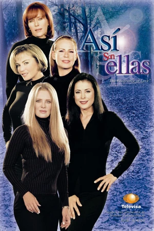 Постер к сериалу Таковы женщины (2002 - 2003)