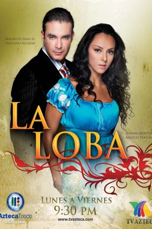 Постер к сериалу Волчица (2010)