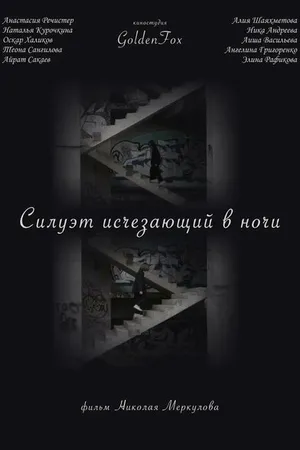 Постер к фильму Силуэт, исчезающий в ночи (2022)