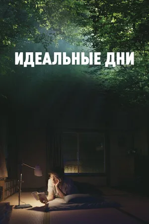 Постер к фильму Идеальные дни (2023)