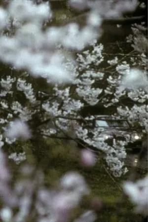 Постер к фильму Зима (2008)