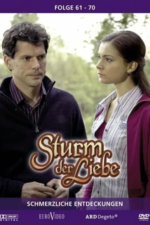 Постер к сериалу Шторм любви (2005)