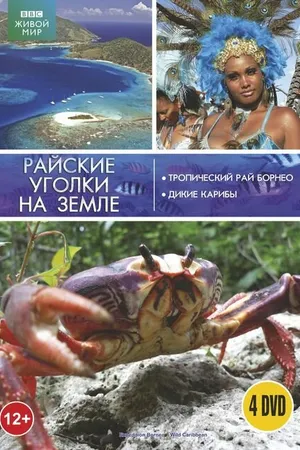 Постер к сериалу BBC: Тропический рай Борнео (2007)
