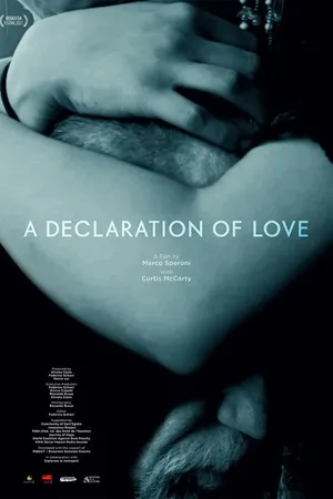 Постер к фильму A Declaration of Love (2021)