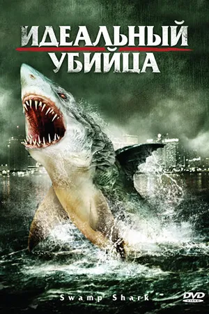 Постер к фильму Идеальный убийца (2011)