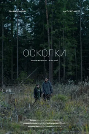 Постер к фильму Осколки (2023)