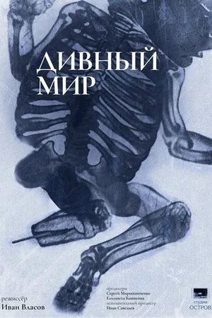 Постер к фильму Дивный мир (2023)