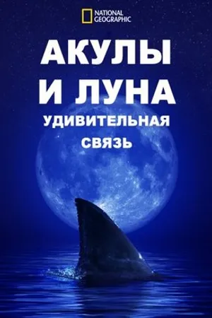 Постер к фильму Shark Side of the Moon (2022)